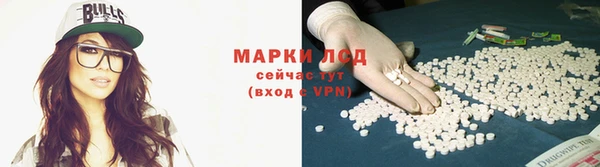 PSILOCYBIN Кулебаки