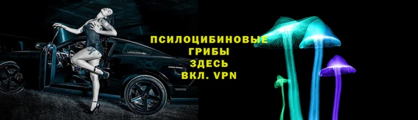 героин Лагань
