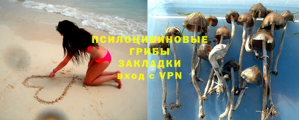 героин Лагань